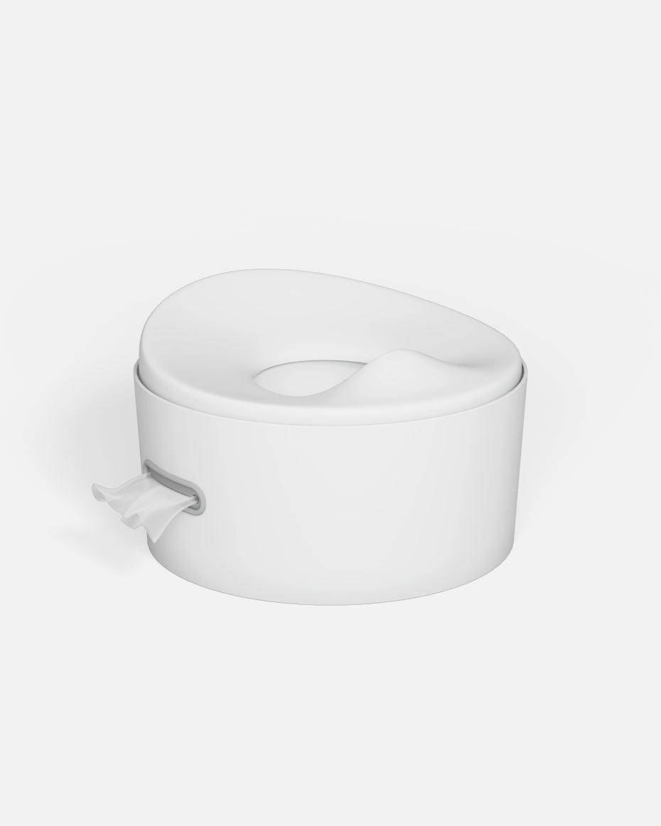 The 3-in-1 Toddler Potty System 🚽✨