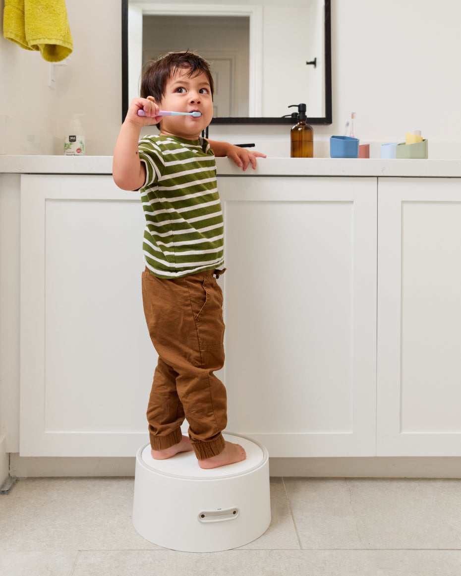 The 3-in-1 Toddler Potty System 🚽✨