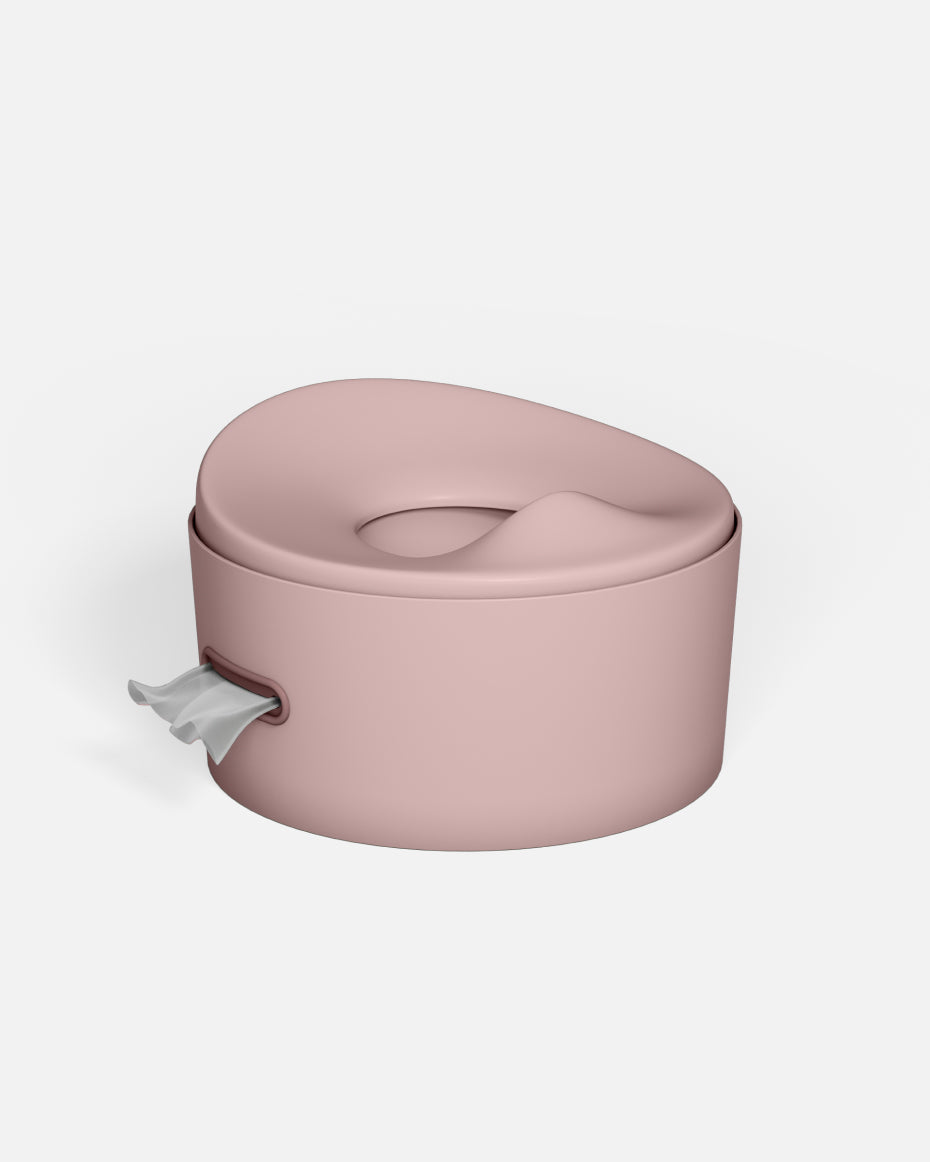 The 3-in-1 Toddler Potty System 🚽✨